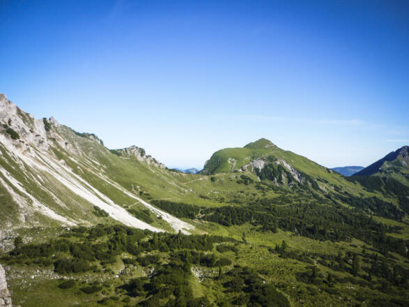 Rückblick auf den Weg vom Lachenjoch durch das Gappenfelder Nötland