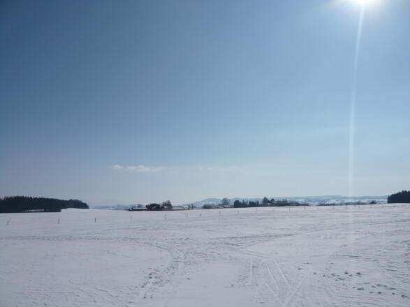 Winterlandschaft an der Loipe Reicholzried (2)
