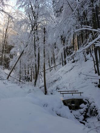 Brücke über den Kalten Bach