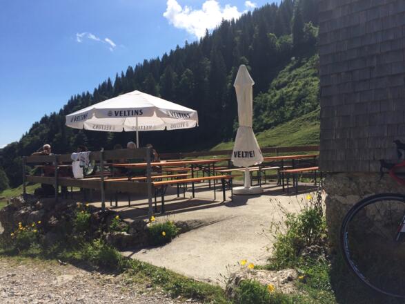 Fast Rollstuhlgerecht. In die Alpe gehen Stufen.