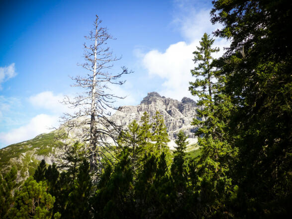 Langsam wird der Blick frei auf den Hochvogel