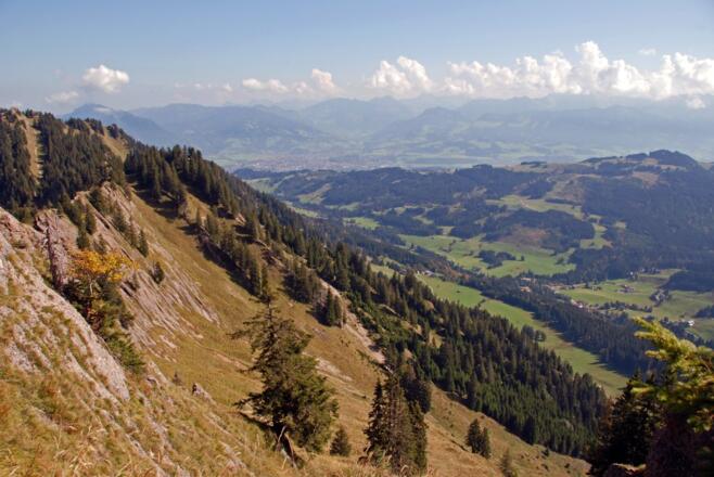 Blick ins Gunzesrieder Tal