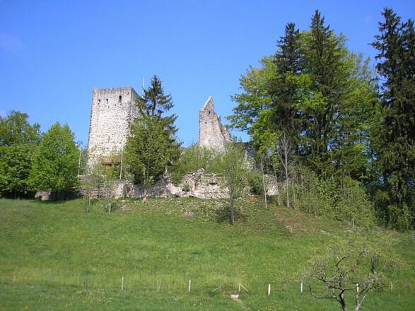 Burg Sulzberg