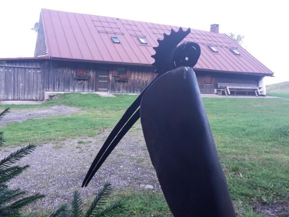 der Rabe an der Rabennestalpe