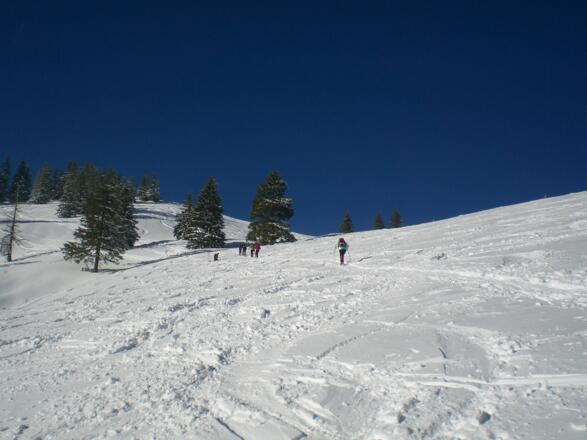 über freies Gelände zum Vorgipfel