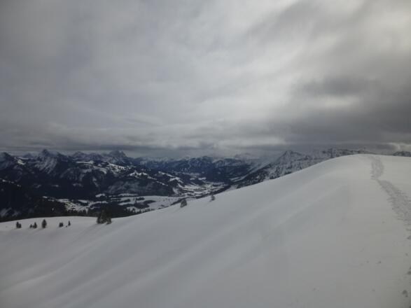 Ausblick vom Gipfelgrat des Wertacher Hörnle