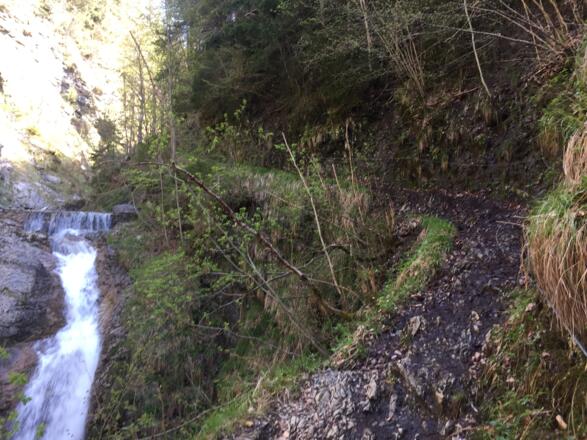 der Weg durch den Tobel ist teilweise versichert und verlangt Trittsicherheit, Vorsicht bei Nässe