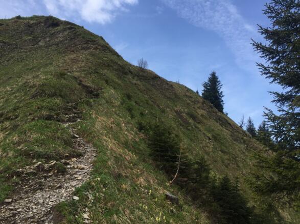 Gipfelaufschwung des Schnippenkopfes