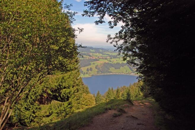 Abstieg zum Großen Alpsee