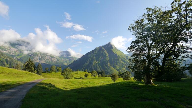 Ausblick an der Schwarzenberghütte auf den Giebel