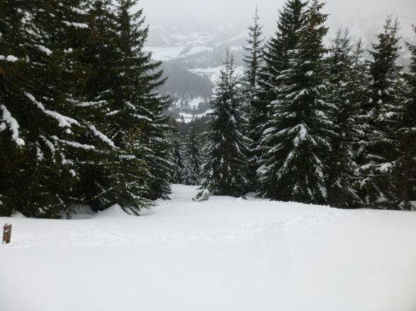 Wegfindung problematisch im unbeschilderten Anfangsteil (C-D)