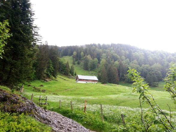 Blick auf die Kesselalpe
