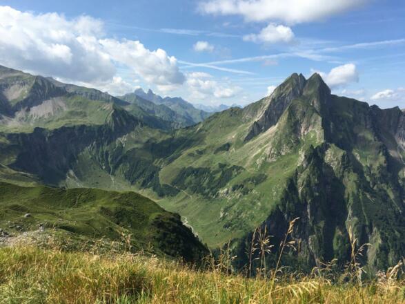 Blick auf die Höfats,