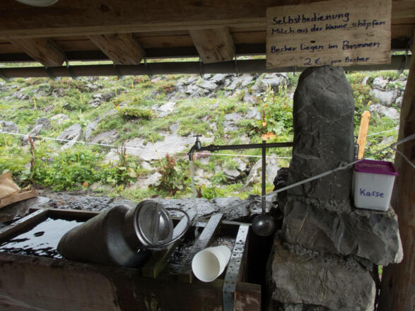 Hier gibt es frische Milch