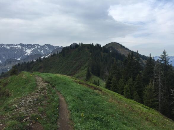 Der Weiterweg über den Heidelbeerkopf zum Schnippenkopf