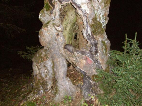 Stiller Begleiter am Wegesrand