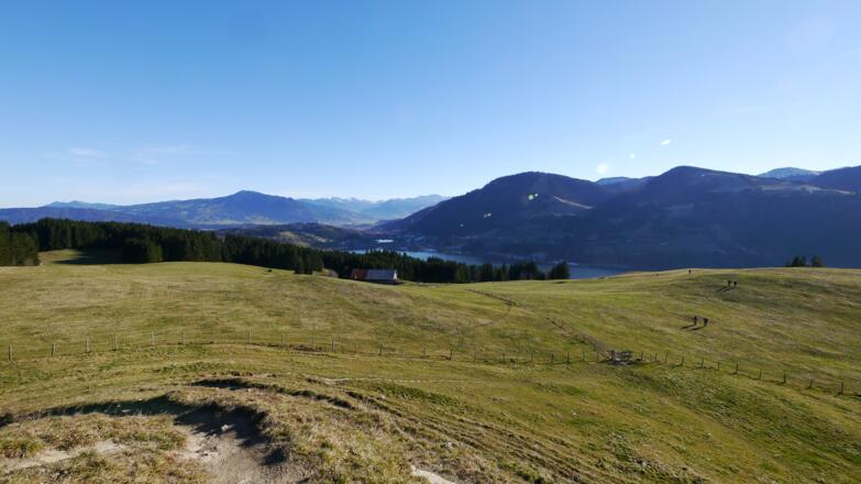 Ausblick vom Aussichtspunkt auf Alpsee und Allgäuer Alpen