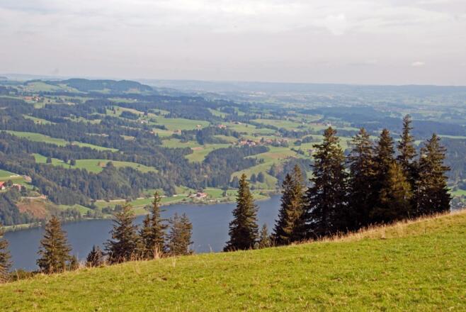 Über dem Großen Alpsee