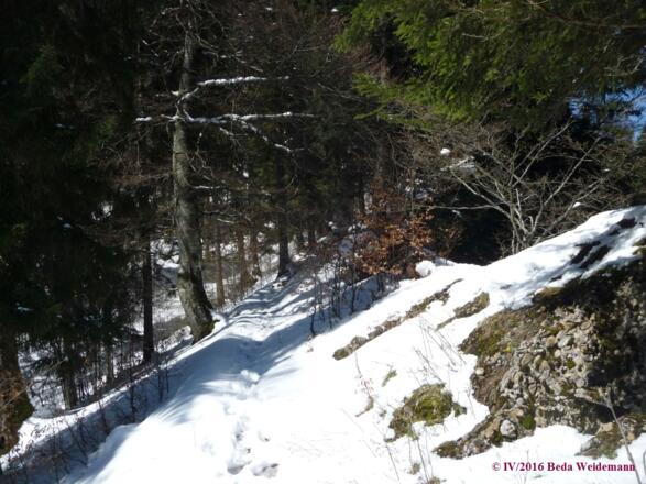 ab der Kanzel ist der Weg nicht mehr steil