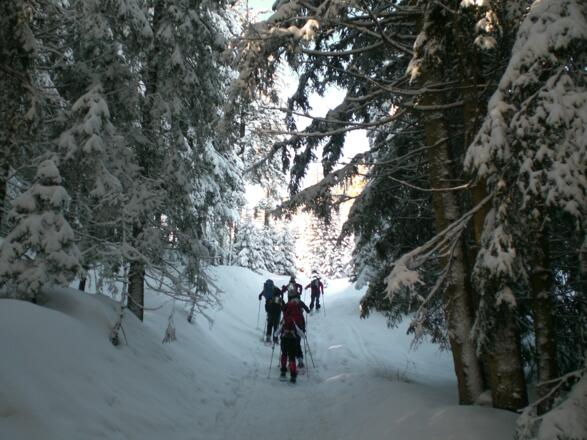 durch die Waldschneise am Edelsberg
