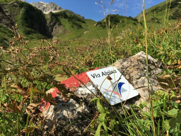 Ein Stück laufen wir auf der Via Alpina.