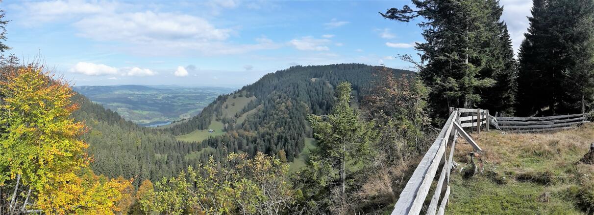 Blick vom Naturfreundhaus hinab zur Kesselalpe (links Gschwender Horn rechts Immenstädter Horn)