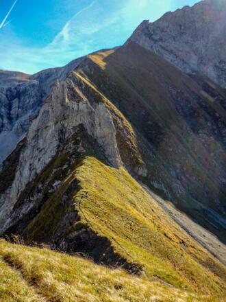 Pfadspuren auf den Nordgrat des Großen Wilden