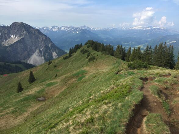 Der Abstiegsweg vom Schnippenkopf, im Hintergrund die Oberstdorfer Berge