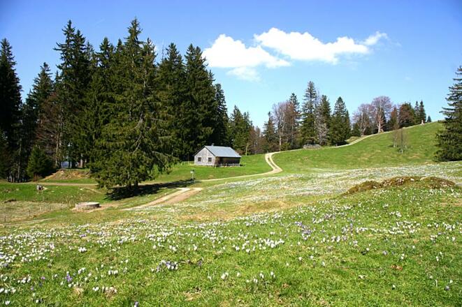 Ums Immenstädter Horn