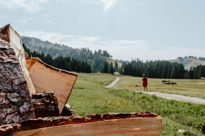 Weg Richtung Almhotel Hochhäderich (c) Nina Bröll / Vorarlberg Tourismus