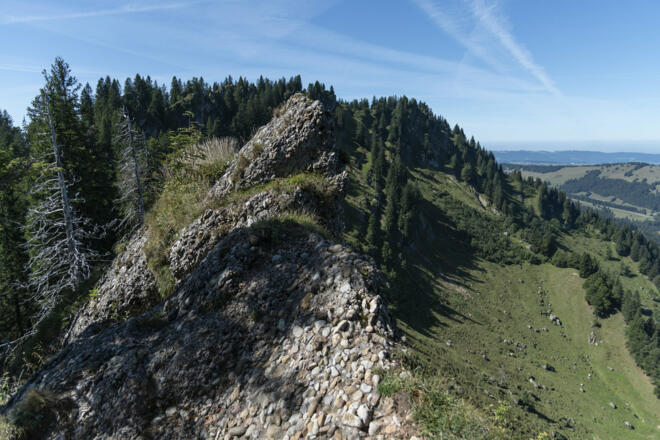 Nagelfluh Gestein (c) Martin Vogel