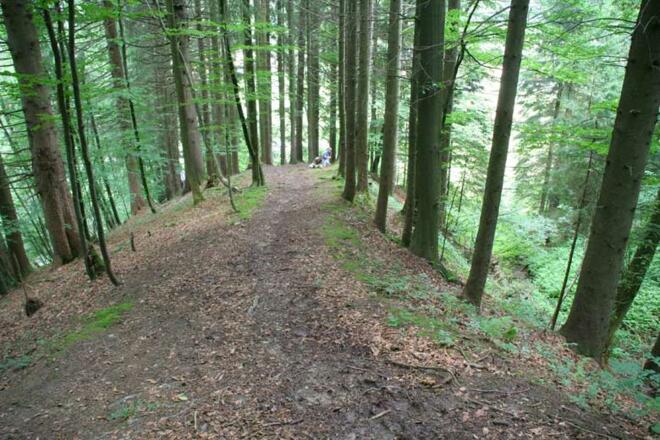 Zurück zum Parkplatz