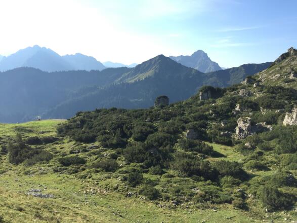 Walser Berge mit Walmendinger Horn und Widderstein