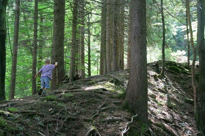 Auf einer Nagelfuhrippe - nicht zu verfehlen - verläuft der Weg.