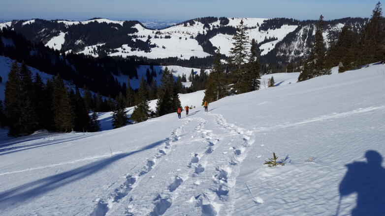 Der &quot;Weg&quot; zur Oberen Rind-Alpe