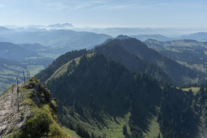 Hochgrat - Blick Richtung Hochhäderich (c) Martin Vogel