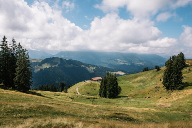 Leckachalpe (c) Nina Bröll / Vorarlberg Tourismus