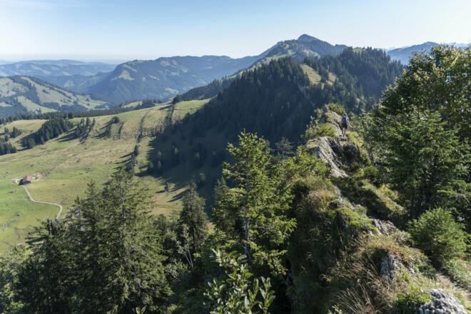 Gratweg Richtung Falken (c) Martin Vogel