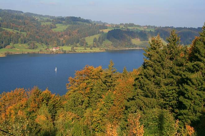 Ums Immenstädter Horn