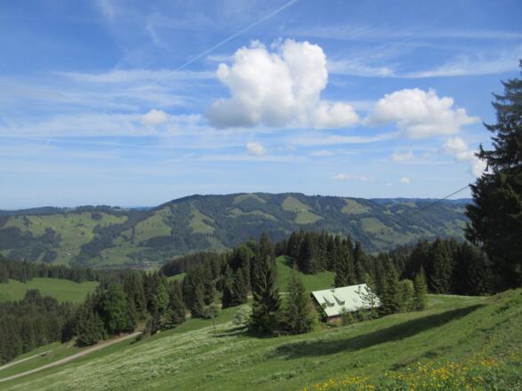 Obere Mittelberg-Alpe
