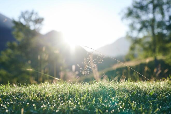 Morgenstimmung im Lecknertal