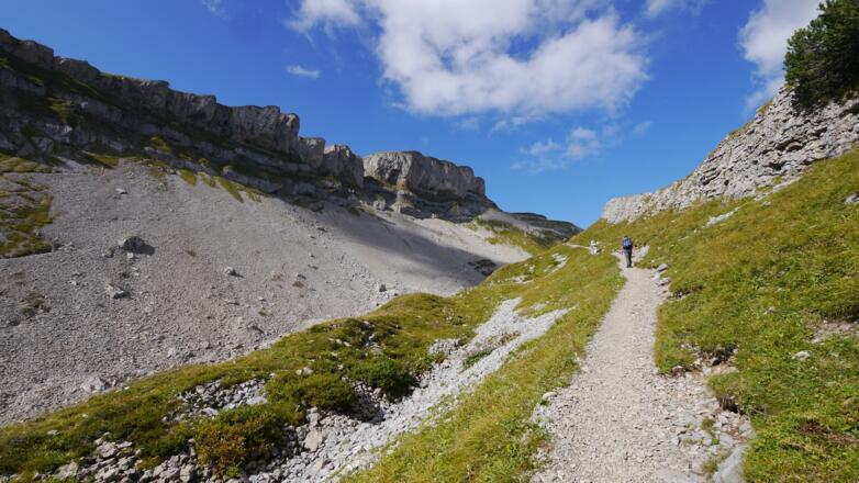 Blick auf den Hohen Ifen