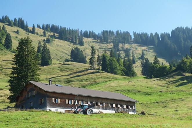 Alpe Glockenplatte Hittisau