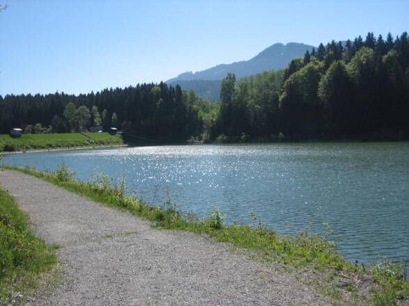 Radweg am Grüntensee