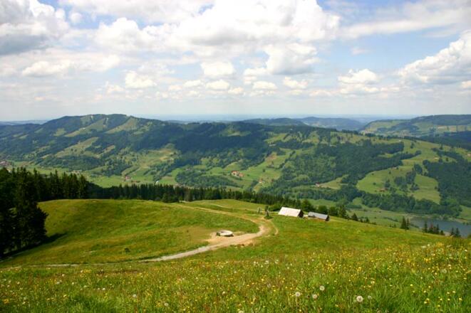 Ums Immenstädter Horn