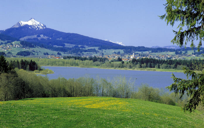 Kurz vor dem Staudamm