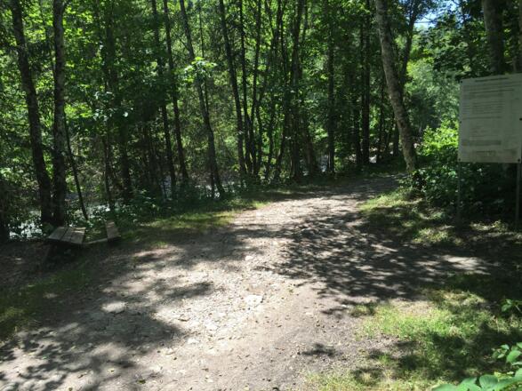 Schattiger Abschnitt am Breitachweg