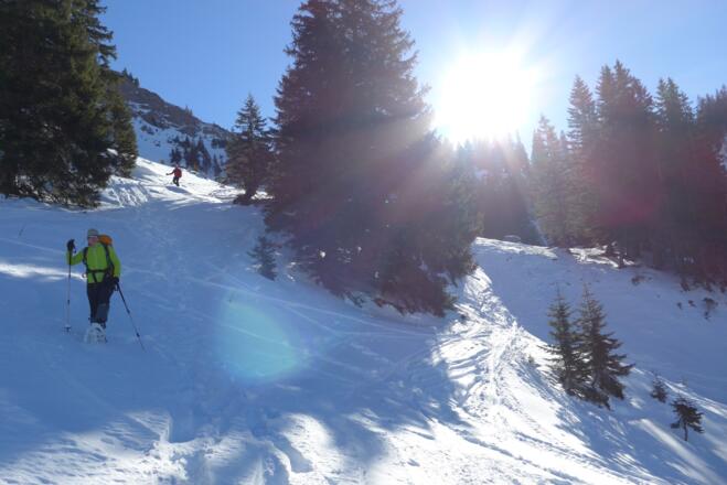 Abstieg ins Ehrenschwanger Tal