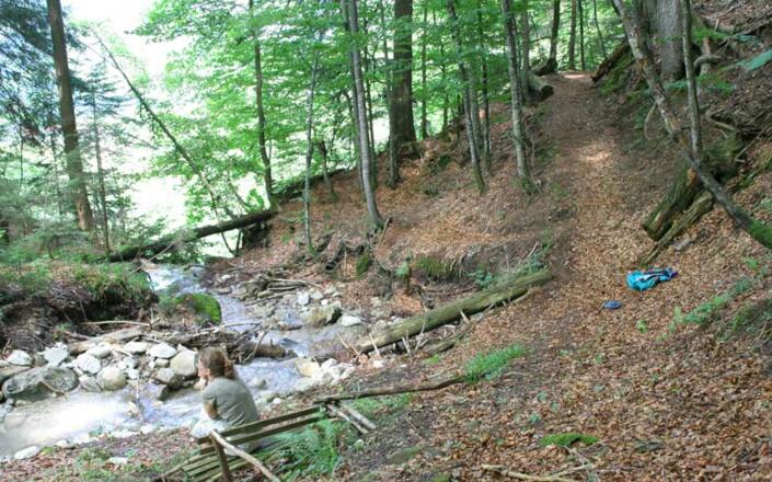 Rast an der Wasserfallkante