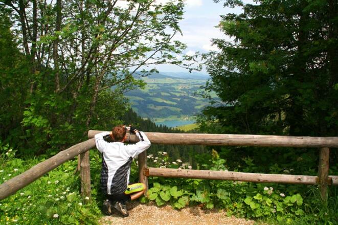 Ums Immenstädter Horn